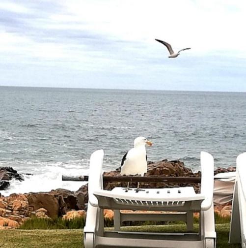 Beacon Island Resort Plettenberg Bay Exteriér fotografie